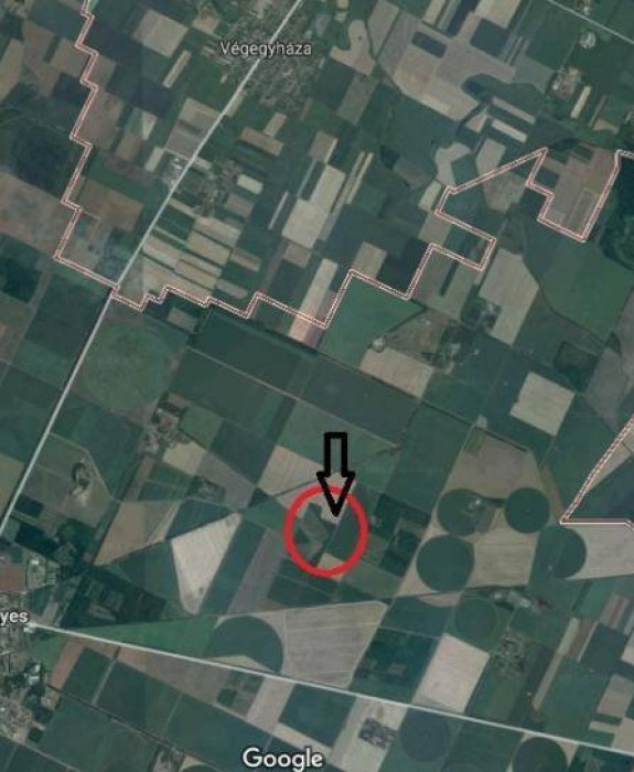 Mezőhegyesi eladó 13500 nm-es Mezőgazdasági